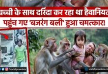 Monkeys attack rapist, rescue 6-yr-old girl