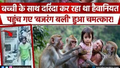 Monkeys attack rapist, rescue 6-yr-old girl