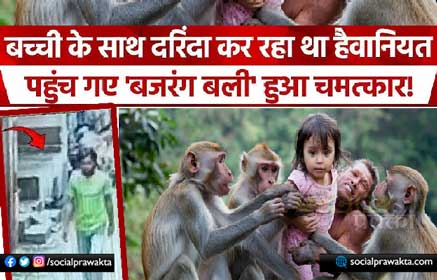 Monkeys attack rapist, rescue 6-yr-old girl