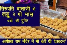 Animal fat in Tirupati Laddu Prasadam