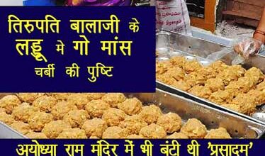 Animal fat in Tirupati Laddu Prasadam